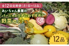 【12品×12回定期便】「バーニャカウダなどに♪」農薬に頼らない！カラダにやさしいお野菜の詰め合わせ【吉野ヶ里あいちゃん農園】[FAA030]