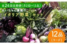 【12品×24回定期便】農薬に頼らない！カラダにやさしい「イタリア野菜」セット（ラージ）【吉野ヶ里あいちゃん農園】[FAA023]