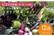 【12品×12回定期便】農薬に頼らない！カラダにやさしい「イタリア野菜」セット（ラージ）【吉野ヶ里あいちゃん農園】[FAA022]