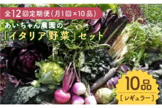 【10品×12回定期便】農薬に頼らない！カラダにやさしい「イタリア野菜」セット（レギュラー） 野菜 やさい 料理【吉野ヶ里あいちゃん農園】[FAA018]