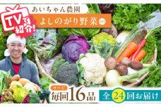 【16品 / 24回定期便】農薬に頼らない！カラダにやさしい「よしのがり野菜」セット（ラージ）【吉野ヶ里あいちゃん農園】 [FAA011]