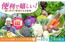 【16品 / 24回定期便】農薬に頼らない！カラダにやさしい「よしのがり野菜」セット（ラージ）【吉野ヶ里あいちゃん農園】 [FAA011]