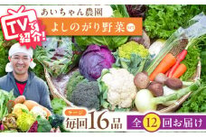 【16品 / 12回定期便】農薬に頼らない！カラダにやさしい「よしのがり野菜」セット（ラージ）【吉野ヶ里あいちゃん農園】 [FAA010]