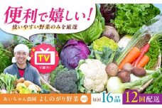 【16品 / 12回定期便】農薬に頼らない！カラダにやさしい「よしのがり野菜」セット（ラージ）【吉野ヶ里あいちゃん農園】 [FAA010]