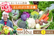 【16品】農薬に頼らない！カラダにやさしい「よしのがり野菜」セット（ラージ）吉野ヶ里町/吉野ヶ里あいちゃん農園 [FAA009]
