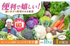 【16品】農薬に頼らない！カラダにやさしい「よしのがり野菜」セット（ラージ）吉野ヶ里町/吉野ヶ里あいちゃん農園 [FAA009]