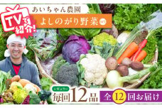 【12品 / 12回定期便】農薬に頼らない！カラダにやさしい「よしのがり野菜」セット（レギュラー）【吉野ヶ里あいちゃん農園】 [FAA006]