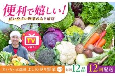 【12品 / 12回定期便】農薬に頼らない！カラダにやさしい「よしのがり野菜」セット（レギュラー）【吉野ヶ里あいちゃん農園】 [FAA006]