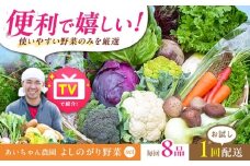 【8品】農薬に頼らない！カラダにやさしい「よしのがり野菜」セット（ショート）【吉野ヶ里あいちゃん農園】 [FAA001]