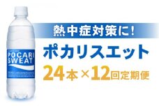 【熱中症対策】＜12回定期便＞500ml 1箱（24本）×12回 ポカリスエット【大塚製薬】 [FBD008]