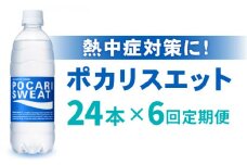 【熱中症対策】＜6回定期便＞500ml 1箱（24本）×6回 ポカリスエット 吉野ヶ里町/大塚製薬 [FBD007]