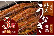 お店の変わらない味！？ふっくらジューシーのこだわり国産うなぎ蒲焼 3枚セット【丸安】 [FAD002]