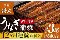 お店と変わらない味！？ふっくらジューシーのこだわりうなぎ【12回定期便】国産うなぎ蒲焼 3枚セット【丸安】 [FAD008]