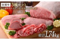 【希少部位ヒレ含む】佐賀牛3種セット 総計1.74kg [FBX023]