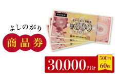 【吉野ヶ里町内で利用できる！】よしのがり商品券30,000円分（500円×60枚） 【吉野ヶ里町商工会】[FBW003]