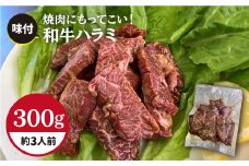 ごはんおかわり必至！やみつきになるホルモン専門店の味付和牛ハラミ300g （約3人前）【三田川ホルモン専門店】吉野ヶ里町 [FAC003]
