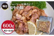 プリプリで味わい深い！ホルモン専門店の和牛小腸 600g（約3〜4人前）【三田川ホルモン専門店】吉野ヶ里町 [FAC007]