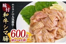 プリプリで味わい深い！ホルモン専門店の和牛シマ腸600g（3〜4人前） 牛肉 和牛 焼肉 焼き肉 ホルモン ホルモン肉 【三田川ホルモン専門店】吉野ヶ里町 [FAC008]