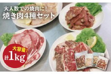 【大容量・味付き】お肉の味にとことんこだわった！！焼き肉4種セット計1kg（和牛ハラミ 400g / 豚ハラミ・丸腸・シマ腸 各200g）吉野ヶ里町/三田川ホルモン専門店 [FAC011]