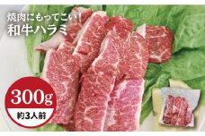 【味付】ホルモン専門店の和牛ハラミ300g （約3人前）【三田川ホルモン専門店】吉野ヶ里町 [FAC014]