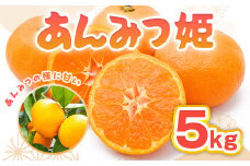 佐賀県産みかん あんみつ姫 5kg  2S～2L みかん ミカン 蜜柑 フルーツ ふるーつ 果物 くだもの [FBT022]