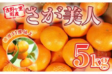 佐賀県産みかん さが美人 5kg  2S～Lサイズ [FBT021]