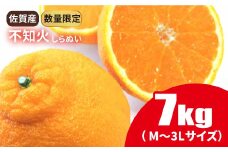 【果汁たっぷりジューシー】佐賀県産不知火（しらぬい） 7kg M～3Lサイズ【数量限定】 柑橘 [FBT020]