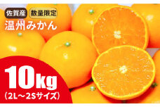 佐賀県産温州みかん 10kg　2S～2Lサイズ　 [FBT019]