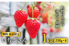 【2月以降順次発送】佐賀県産いちごさん 合計約1kg（250g×4） [FBT023]