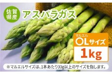 【2～3月以降順次発送】アスパラガス 春芽 1kg（〇Lサイズ）吉野ケ里町/JAさが [FBE017]