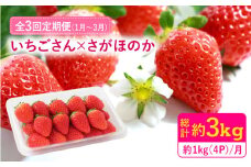 【1月～3月にお届け・3回定期便】さがほのか・いちごさん（1回4P約1kg） イチゴ いちご 苺 フルーツ 果物 佐賀県産 佐賀産 旬 吉野ヶ里町/リエンサーク [FCC005]