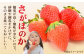 佐賀県自慢の2種！さがほのか＆いちごさん 平パック4P 約1kg