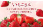 佐賀県自慢の2種！さがほのか＆いちごさん 平パック4P 約1kg