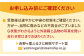 佐賀県自慢の2種！さがほのか＆いちごさん 平パック4P 約1kg