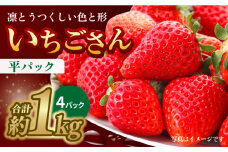 【1月中旬～2月中旬発送】やさしい味わい！いちごさん 平パック×4P 約1kg いちご イチゴ 佐賀県産 佐賀県 佐賀 パック 吉野ヶ里町/リエンサーク [FCC003]