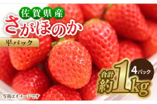【1月中旬～3月中旬発送】みずみずしい果肉！さがほのか平パック4P 約1kg いちご 佐賀県産 佐賀県 イチゴ パック 吉野ヶ里町/リエンサーク [FCC002]