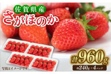 【1月中旬～3月中旬発送】みずみずしい果肉！さがほのかレギュラーパック4P 240g×4 いちご イチゴ 苺 フルーツ 果物 佐賀 吉野ヶ里町/リエンサーク [FCC001]