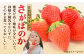 みずみずしい果肉！さがほのかレギュラーパック4P 240g×4 