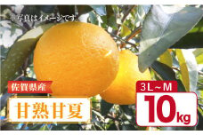 【4月下旬～5月上旬発送】佐賀県産 みかん 甘味とほどよい酸味の「甘熟甘夏」約10kg 吉野ヶ里町/リエンサーク  [FCC012]