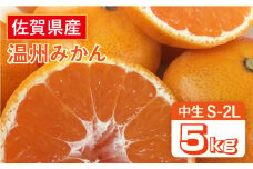 【12月上旬～1月上旬発送】こたつで美味しいみかんを♪ 佐賀県産 中生みかん 5kg  みかん ミカン 蜜柑 フルーツ ふるーつ 果物 くだもの 吉野ヶ里町/リエンサーク [FCC010]