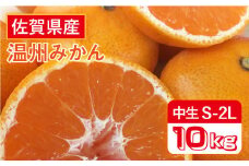 【12月上旬～1月上旬発送】こたつで美味しいみかんを♪ 佐賀県産 中生みかん 10kg 吉野ヶ里町/リエンサーク [FCC009]
