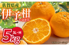 【1月中旬～2月下旬発送】甘酸っぱくておいしい！佐賀県産 みかん 「伊予柑（いよかん）」 蜜柑 ミカン みかん  5kg 吉野ヶ里町/リエンサーク [FCC008]