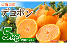 【2月以降順次発送・バランスの良い酸味と甘味】佐賀県産 みかん「デコポン」5kg 吉野ヶ里町/リエンサーク [FCC007]