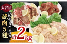 【味付】【大容量】お肉の味にとことんこだわった！焼き肉5種セット計2kg（和牛ハラミ800g / 豚ハラミ・丸腸・小腸・シマ腸 各300g）【三田川ホルモン専門店】 [FAC016]