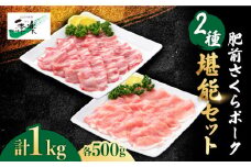とろけるような口どけ！肥前さくらポーク ロース＆肩ロース スライス食べ比べセット1,000g（各500g）  豚肉 ブタ トンカツ かつ丼 カツカレー 【佐賀県農業協同組合】 [FBE026]