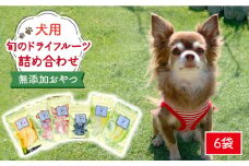 犬の無添加おやつ☆お砂糖不使用 旬のドライフルーツおまかせ6袋 吉野ヶ里町 [FCG022]
