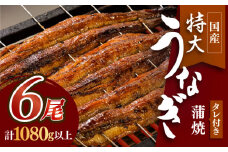 ふっくらジューシーのこだわり国産うなぎ蒲焼 6枚セット うなぎ ウナギ 国産 【丸安】 [FAD013]
