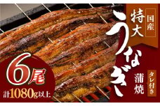 ふっくらジューシーのこだわり国産うなぎ蒲焼 6枚セット うなぎ ウナギ 国産 【丸安】 [FAD013]
