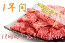 【1年間】冷蔵庫にあって困らない！高級切り落とし、佐賀牛定期便 [FAZ041]