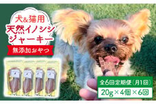 シニア犬＆幼犬＆猫用の無添加おやつ☆固すぎない天然いのししジャーキー6回定期便【わんこin食堂】 [FCG046]